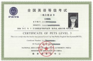 未婚证明格式全攻略：轻松掌握官方标准，避免办理麻烦