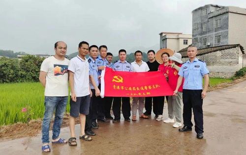 消费税暂行条例详解：轻松掌握税收规则，避免纳税风险与困惑